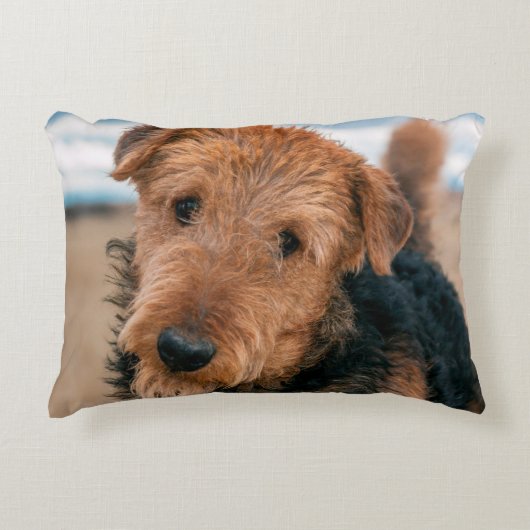 Portret van een Airedale Terrier Decoratief Kussen (Voorkant)