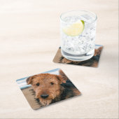 Portret van een Airedale Terrier Kartonnen Onderzetters (Insitu)