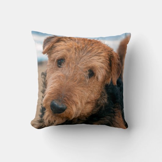 Portret van een Airedale Terrier Kussen (Voorkant)