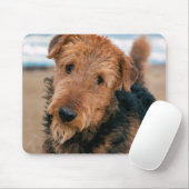 Portret van een Airedale Terrier Muismat (Met muis)