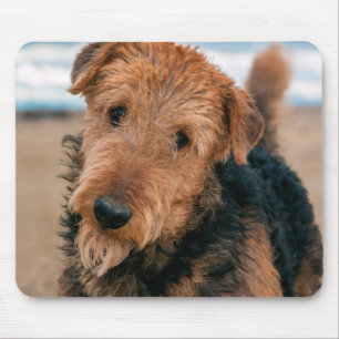 Portret van een Airedale Terrier Muismat