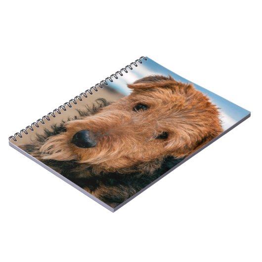 Portret van een Airedale Terrier Notitieboek (Linkerzijde)