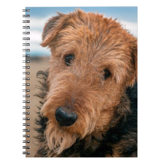 Portret van een Airedale Terrier Notitieboek (Voorkant)