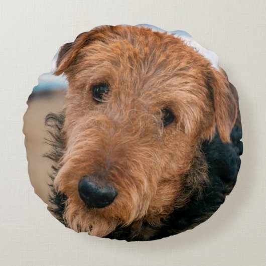 Portret van een Airedale Terrier Rond Kussen (Voorkant)