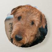 Portret van een Airedale Terrier Rond Kussen (Achterkant)