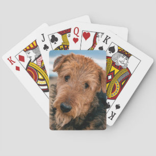 Portret van een Airedale Terrier Speelkaarten
