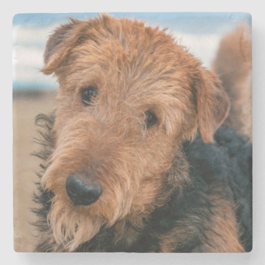 Portret van een Airedale Terrier Stenen Onderzetter (Voorkant)