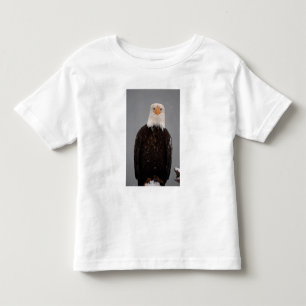 Portret van een Amerikaanse zeearend in de sneeuw, Kinder Shirts