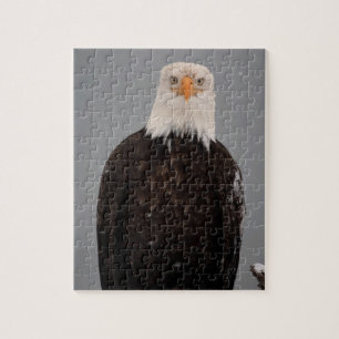 Portret van een Amerikaanse zeearend in de sneeuw, Legpuzzel