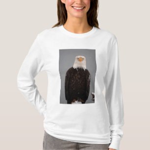 Portret van een Amerikaanse zeearend in de sneeuw, T-shirt