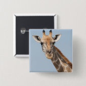 Portret van een Angolese giraffe Vierkante Button 5,1 Cm (Voorkant /achterkant)