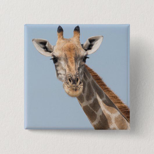 Portret van een Angolese giraffe Vierkante Button 5,1 Cm (Voorkant)