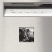 Portret van een Angus Magneet (Insitu (Vaatwasser))