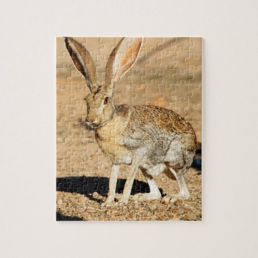 Portret van een antilope jackkonijn, Arizona Legpuzzel (Verticaal)