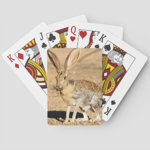 Portret van een antilope jackkonijn, Arizona Pokerkaarten