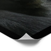 Portret van een Ape Poster (Hoek)