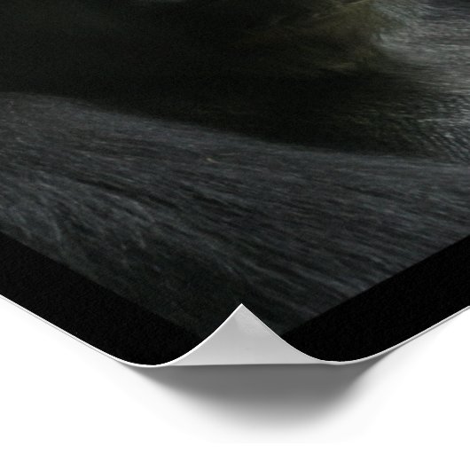 Portret van een Ape Poster (Hoek)