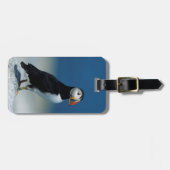Portret van een Atlantische Puffin Bagagelabel (Voorkant horizontaal)