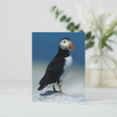 Portret van een Atlantische Puffin Briefkaart (Staand voorkant)