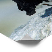 Portret van een Atlantische Puffin Poster (Hoek)