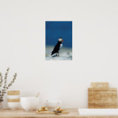 Portret van een Atlantische Puffin Poster (Keuken)