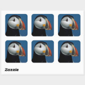 Portret van een Atlantische Puffin Vierkante Sticker (Vel)
