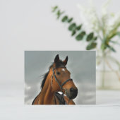 Portret van een baai volbloed briefkaart (Staand voorkant)