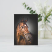 Portret van een baaivolbloed briefkaart (Staand voorkant)