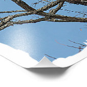 Portret van een Bald Eagle Foto Afdruk (Hoek)