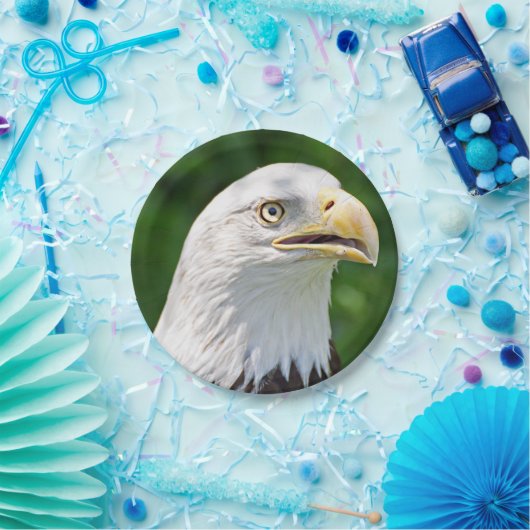 Portret van een Bald Eagle Papieren Bordje (Feest)
