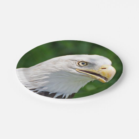 Portret van een Bald Eagle Papieren Bordje (Gekanteld)