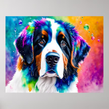 Portret van een Bernese Mountain Dog