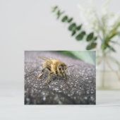 Portret van een Bij van de Honing Briefkaart (Staand voorkant)