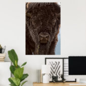 Portret van een bizonstier in de regen poster (Thuiskantoor)