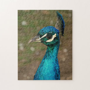 Portret van een blauwe pauw legpuzzel
