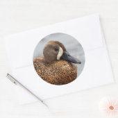 Portret van een Blauwgroen blauw-Winged Ronde Sticker (Envelop)