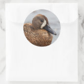 Portret van een Blauwgroen blauw-Winged Ronde Sticker (Tas)