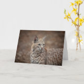 Portret van een Bobcat Kaart (Gele Bloem)