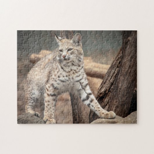 Portret van een Bobcat Legpuzzel (Horizontaal)