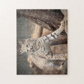 Portret van een Bobcat Legpuzzel (Verticaal)