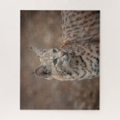 Portret van een Bobcat Legpuzzel (Verticaal)