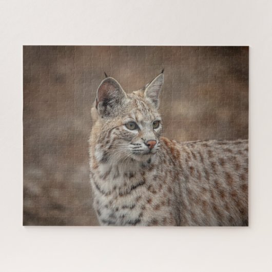 Portret van een Bobcat Legpuzzel (Horizontaal)