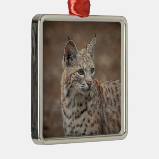 Portret van een Bobcat Metalen Ornament (Rechts)