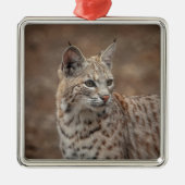 Portret van een Bobcat Metalen Ornament (Voorkant)