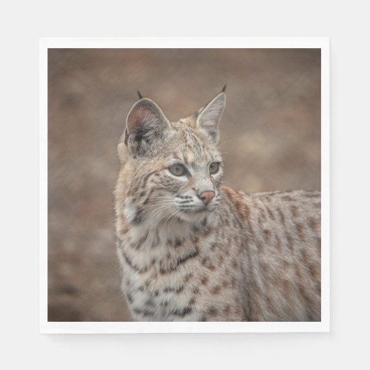 Portret van een Bobcat Servet (Voorkant)