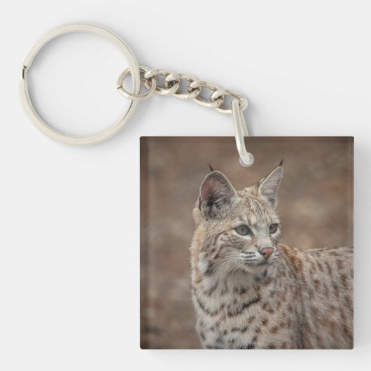 Portret van een Bobcat Sleutelhanger (Voorkant)