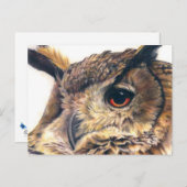 Portret van een briefkaart van de adelaar (Voorkant / Achterkant)