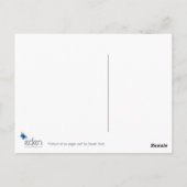 Portret van een briefkaart van de adelaar (Achterkant)