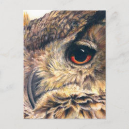Portret van een briefkaart van de adelaar