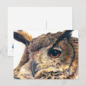 Portret van een briefkaart van de adelaar (Voorkant / Achterkant)